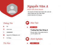 Mẫu CV xin việc sao cho thật ấn tượng với nhà tuyển dụng